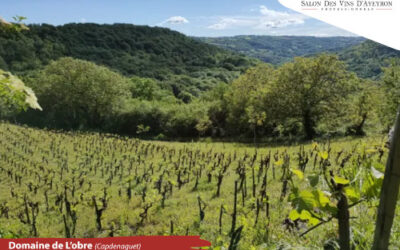 Domaine de l&rsquo;Obre